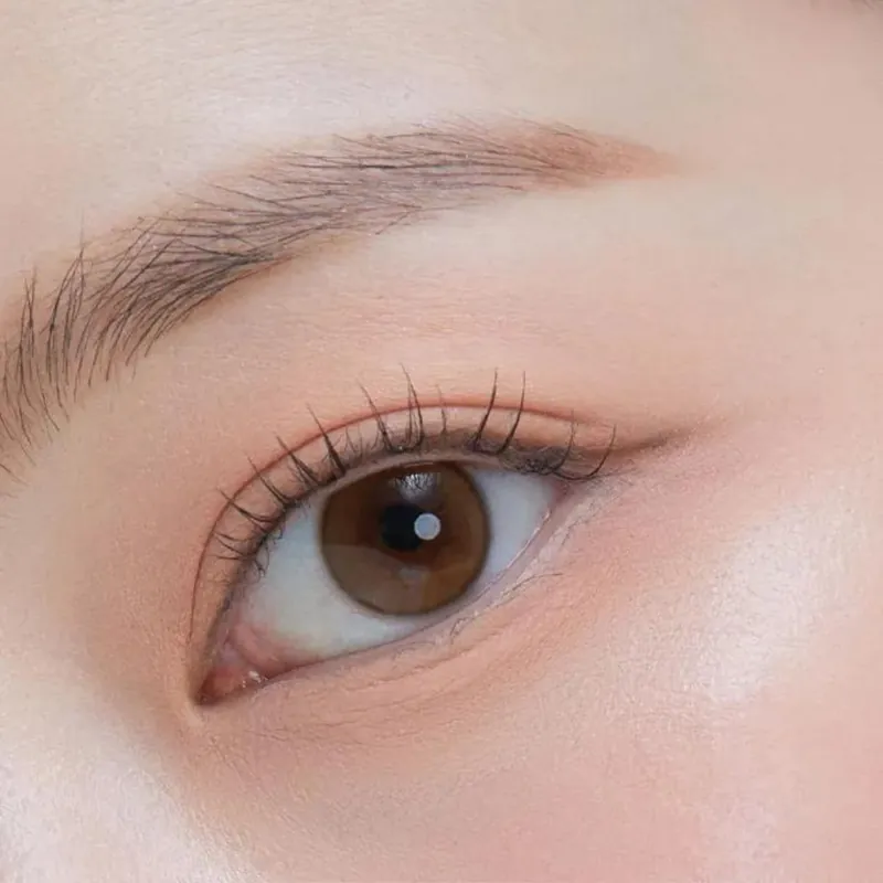 [月拋] O-LENS Shine Touch Milky Brown 月拋彩妝隱形眼鏡｜每盒2片