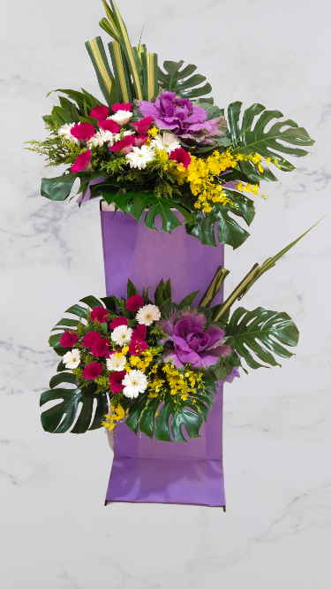 Grand Opening - GO24