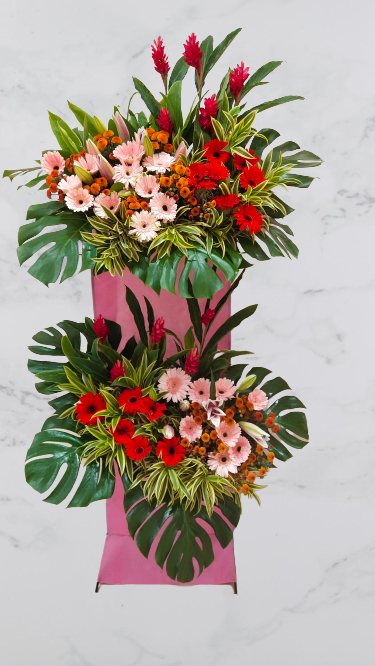 Grand Opening - GO23