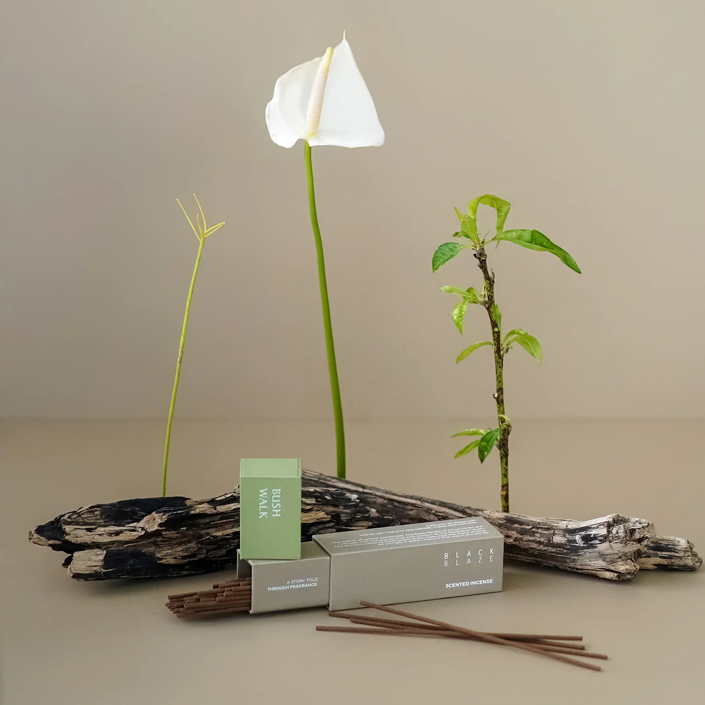 BLACK BLAZE 漫步灌木叢 Bush Walk 線香