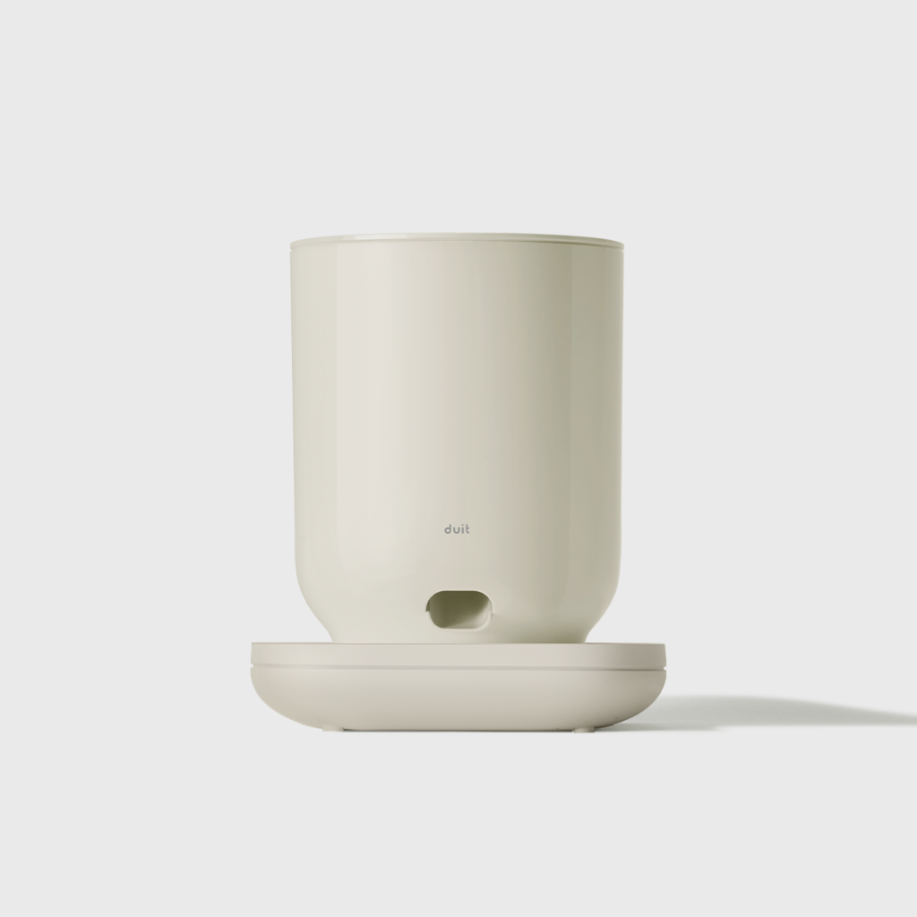 duit The Table Mushroom