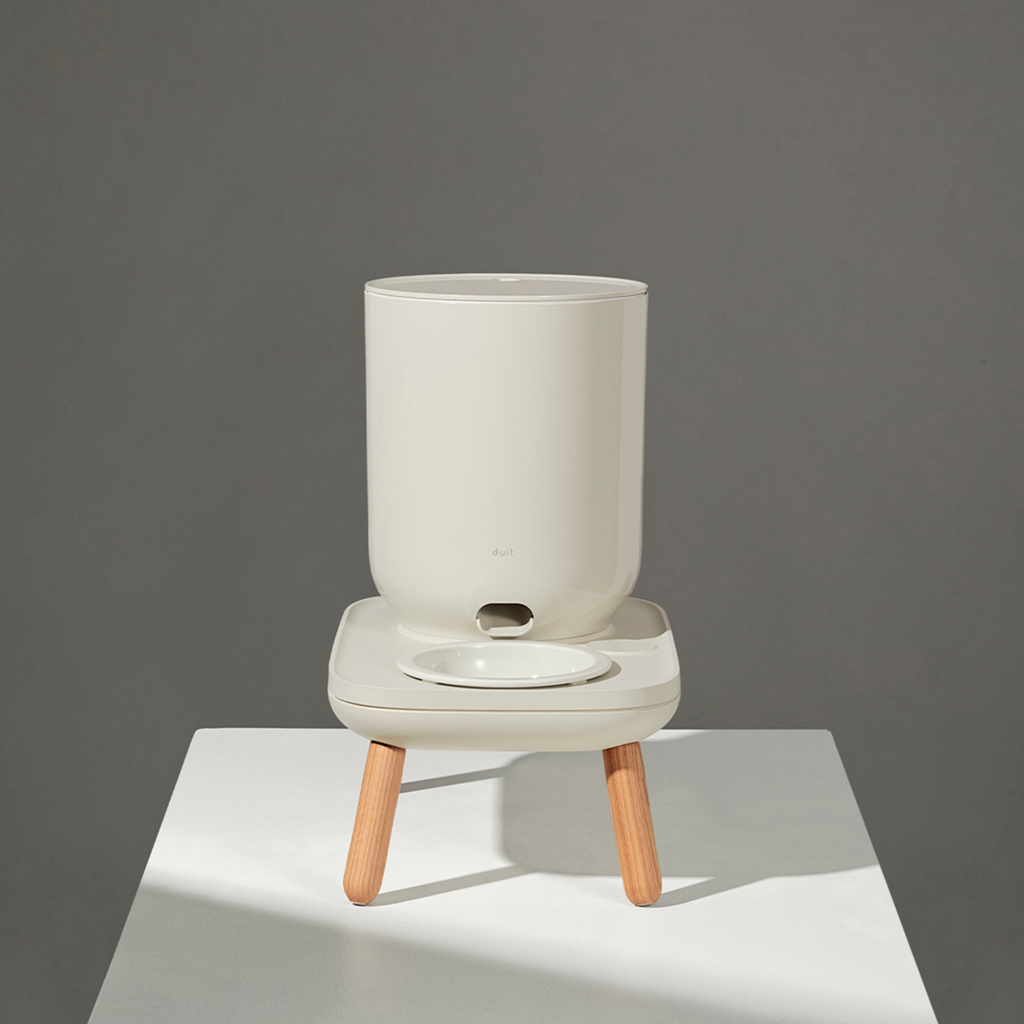 duit The Table Mushroom