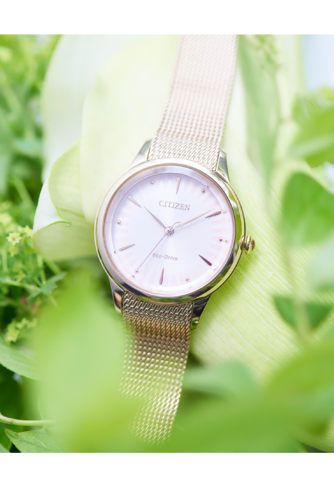 萬年鐘錶 - Citizen 星辰錶    非洲菊 光動能氣質大三針米蘭帶女錶  EM0818-82X   錶徑 32.5MM