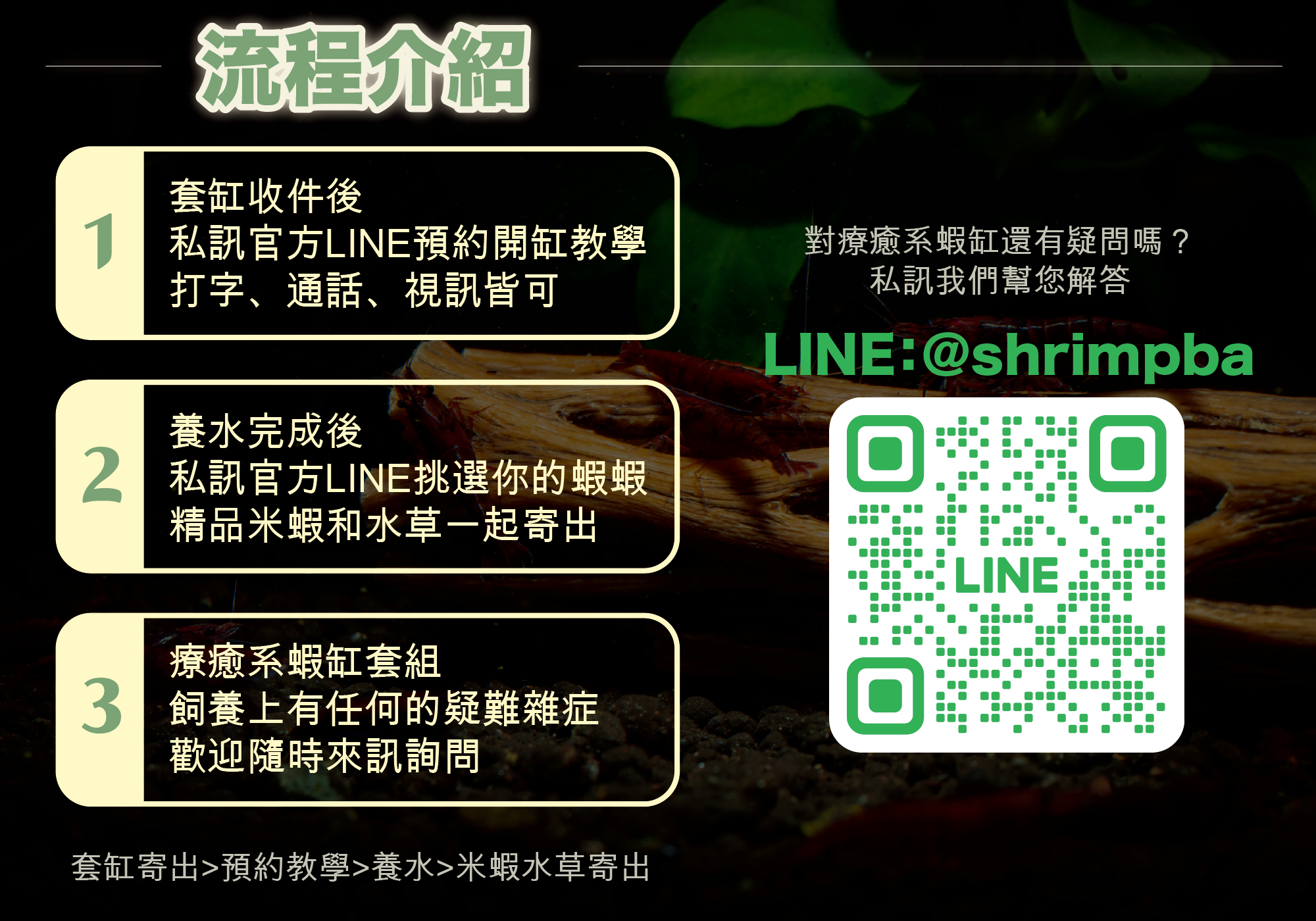 蝦霸水生,養蝦的攀針,觀賞蝦怎麼養,觀賞蝦網購,高雄蝦霸,便宜米蝦,觀賞蝦入門,觀賞蝦價格,米蝦,米蝦種類,觀賞蝦種類,米蝦哪裡買,蝦霸官網,養蝦水族箱,養蝦水質,養蝦溫度,觀賞蝦繁殖,養蝦套缸,套缸,蝦缸,療癒系蝦缸