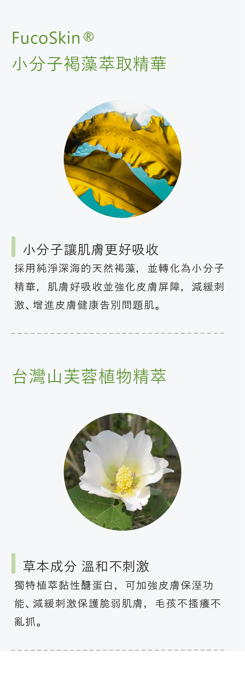 寵物皮膚護理凝膠_3