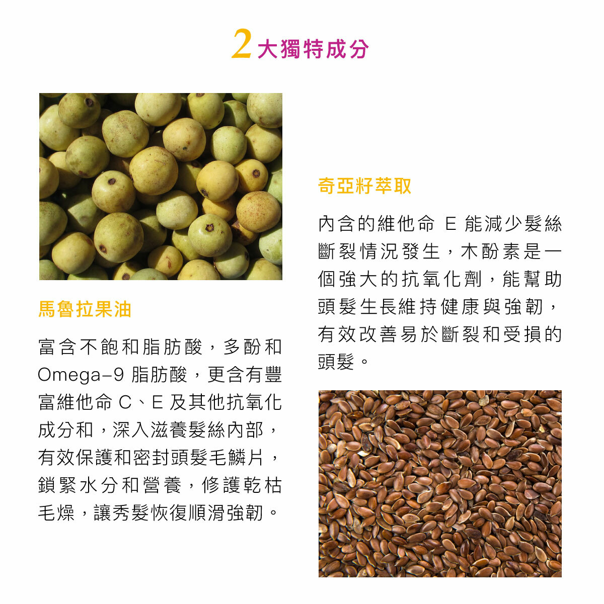 rica,髮品,洗髮精,護髮,頭皮養護,洗髮精推薦,純素產品,天然有機,沙龍,火山水,梨果仙人掌,護色科技,植萃,髮油,油保養,髮油推薦,護髮油,髮油用法,漂髮,漂髮修護,漂後受損髮