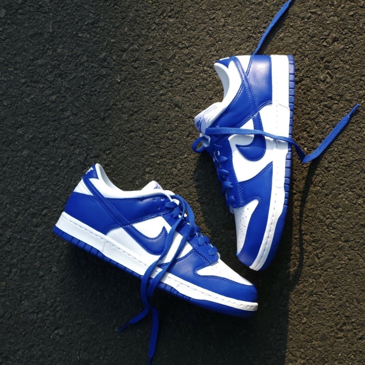 Nike Dunk Low Kentucky 2022版 肯塔基大學 藍白 CU1726-100