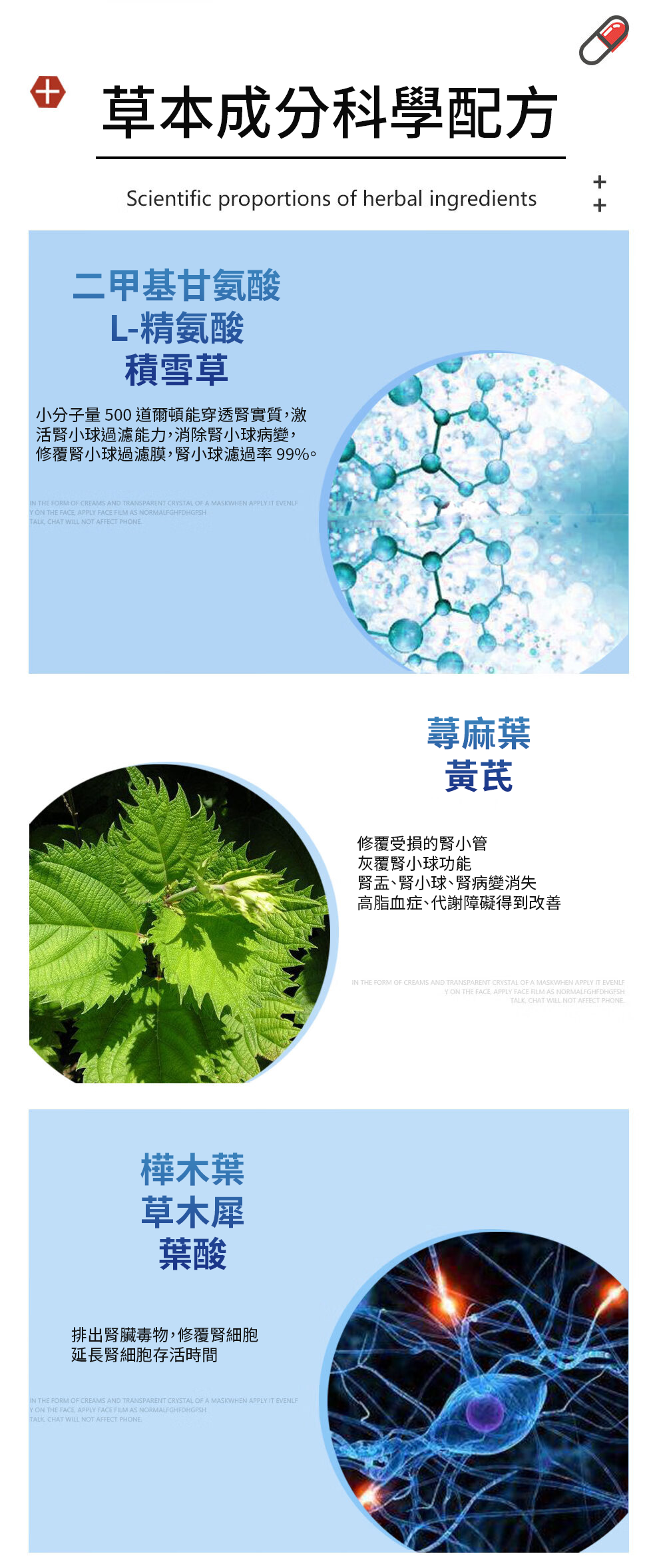 【 Spruce Nutrition 】腎康寶 草本配方｜30 粒裝（美國原裝行貨）