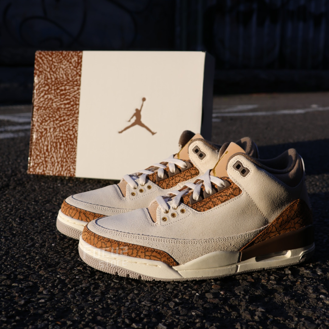 【Focus Store】現貨秒發 Nike Air Jordan 3 Retro 'Palomino' 摩卡 象紋 CT8532-102