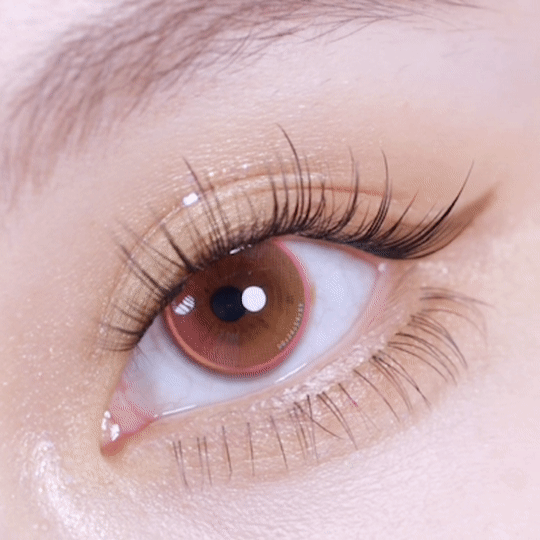 [日拋] moody Lenses 1 Day 25th Hour+ 日抛隱形眼鏡｜每盒10片