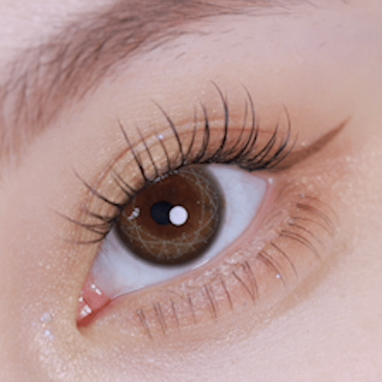 [日拋] moody Lenses 1 Day Digital Vine (Vine Brown) 日抛隱形眼鏡｜每盒10片