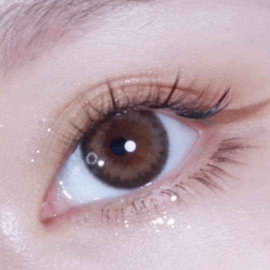 [日拋] moody Lenses He Doesn't Know 1 Day Picture Perfect (Cambridge Brown) 日抛隱形眼鏡｜每盒10片