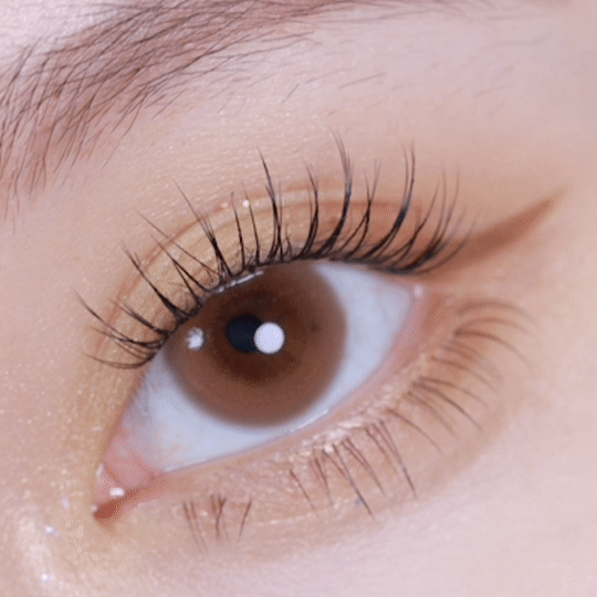 [日拋] moody Lenses He Doesn't Know 1 Day TENDER BROWN 日抛隱形眼鏡｜每盒10片