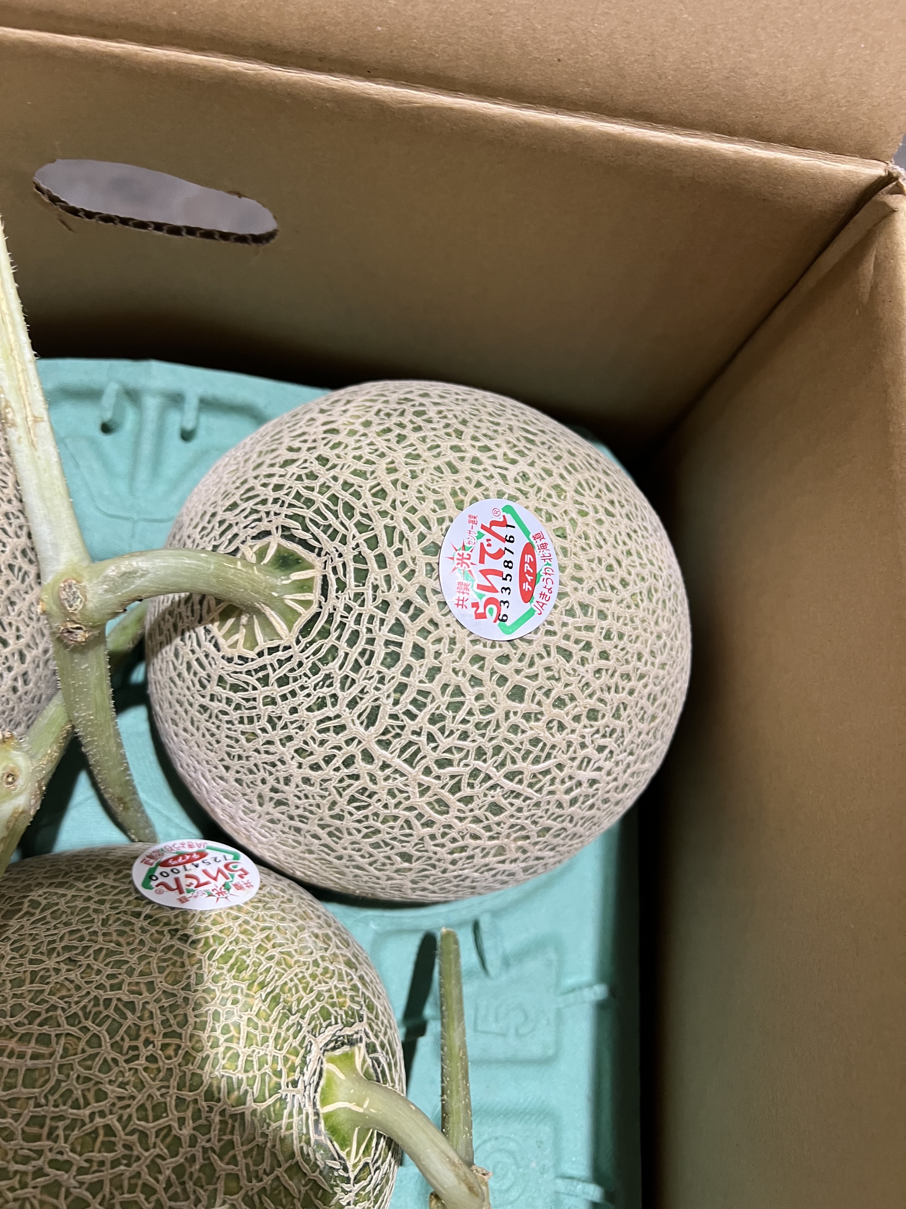 日本北海道赤肉蜜瓜