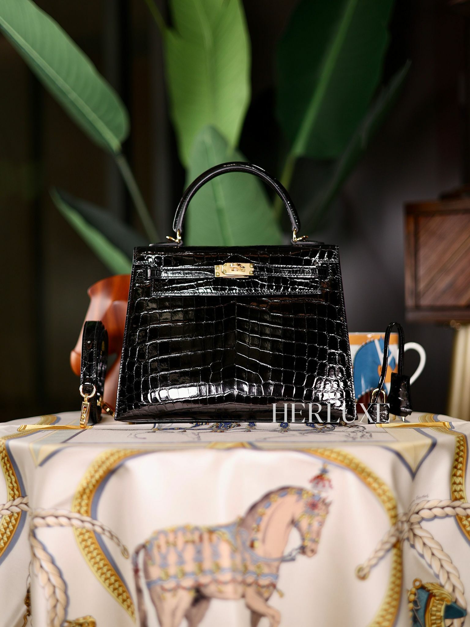 Kelly 25 89 noir niloticus cc B