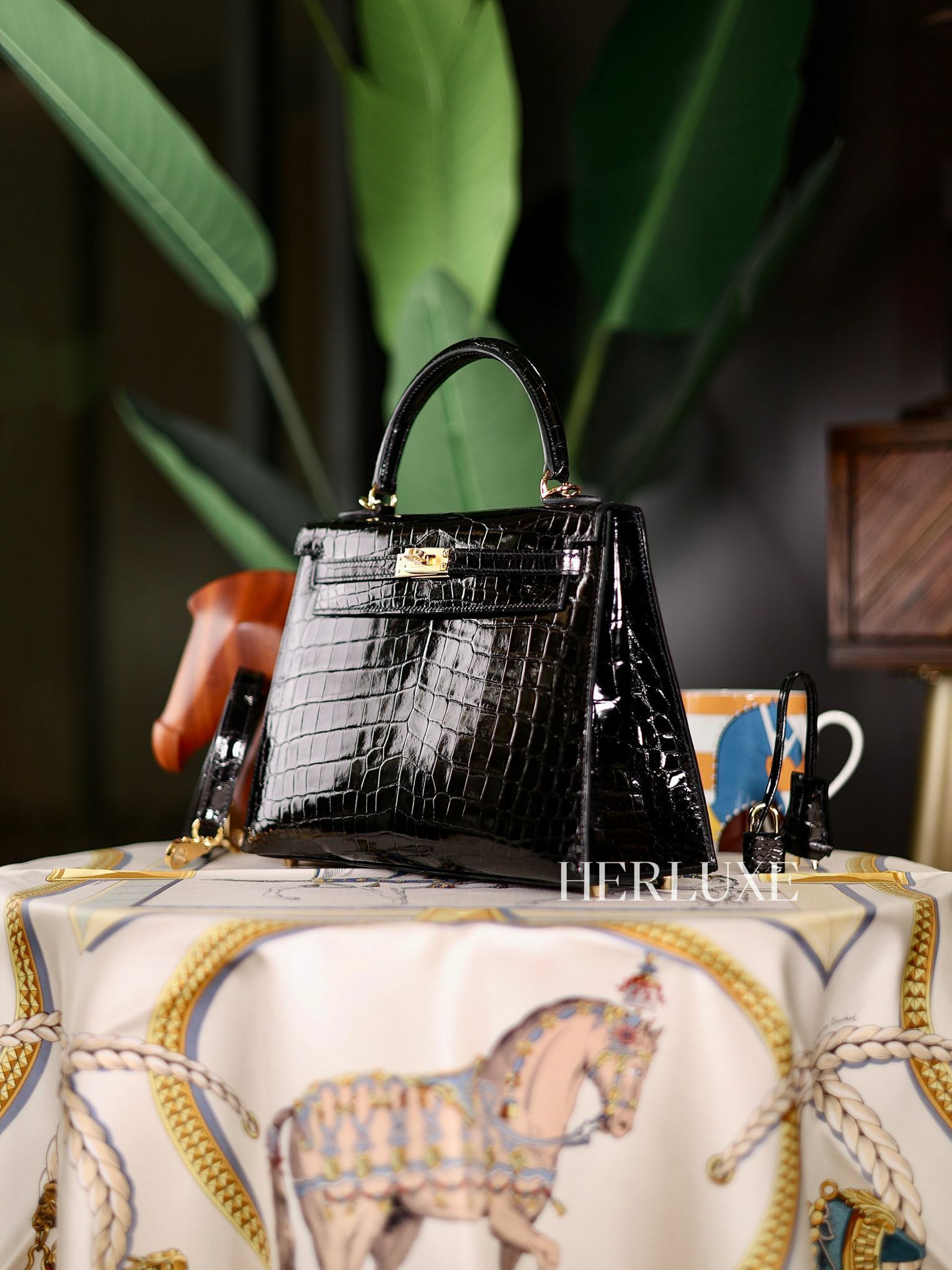 Kelly 25 89 noir niloticus cc B