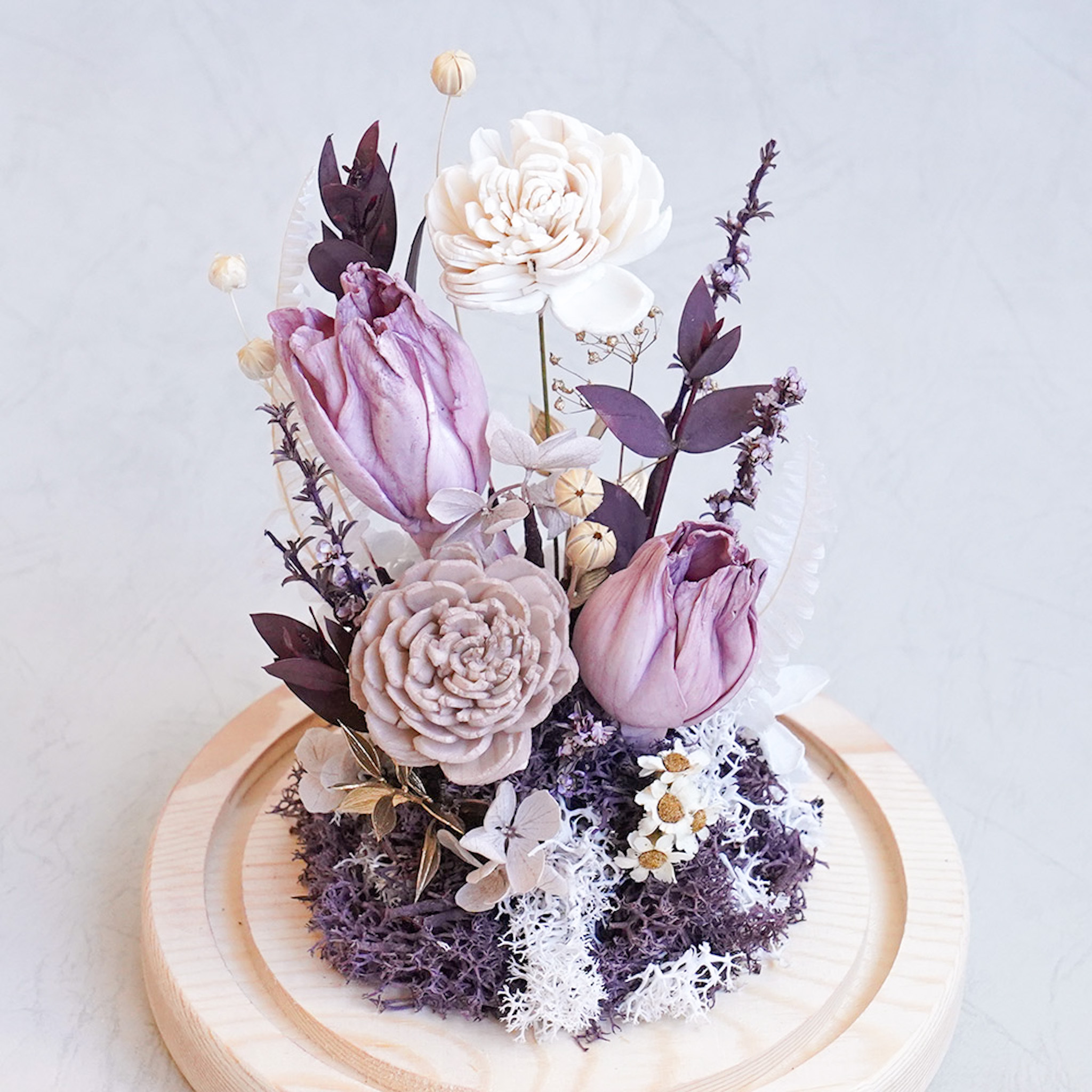 紫色鬱金香玻璃罩,紫色鬱金香玻璃罩,台北鬱金香哪裡買鬱金香特寫