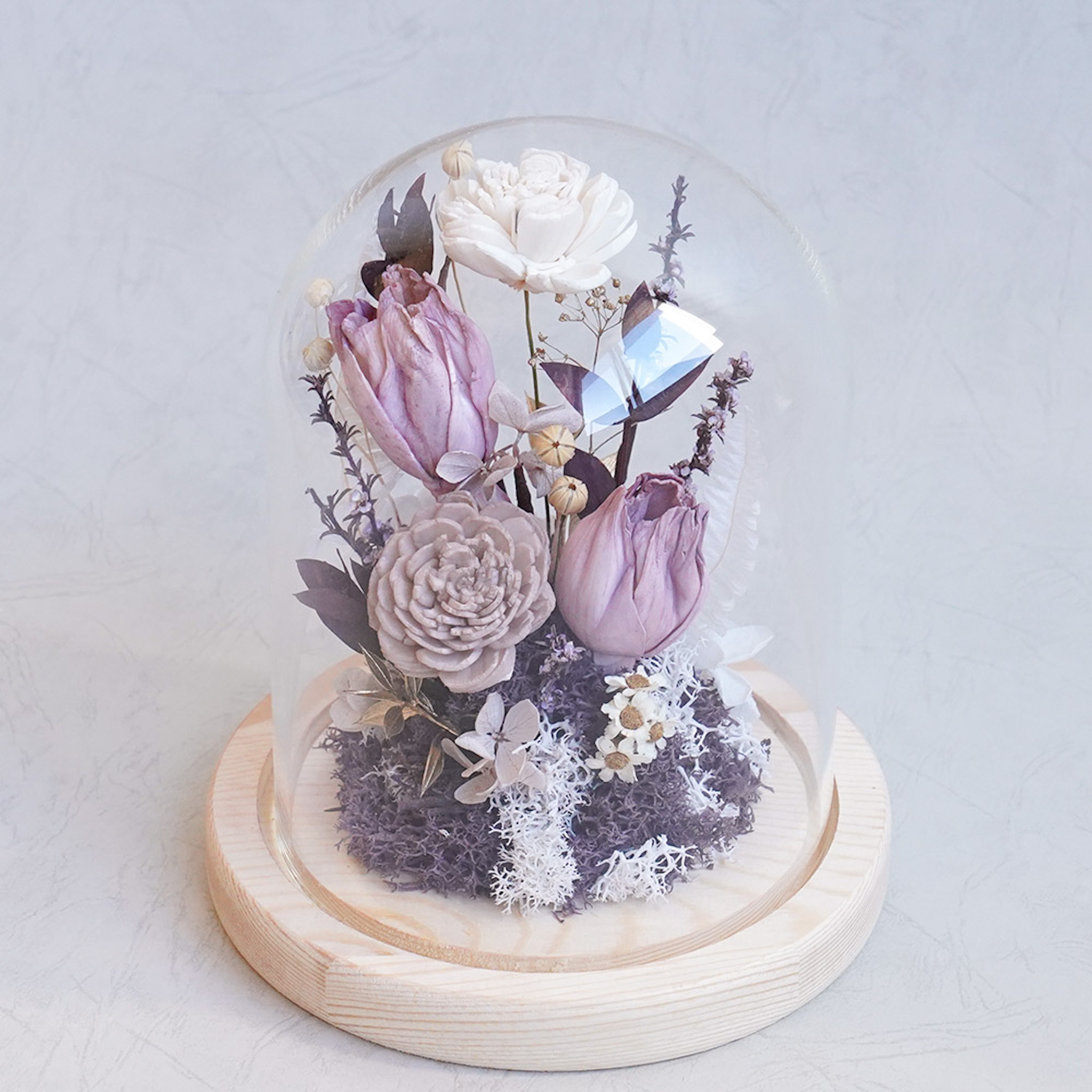 紫色鬱金香玻璃罩,紫色鬱金香玻璃罩,台北鬱金香哪裡買