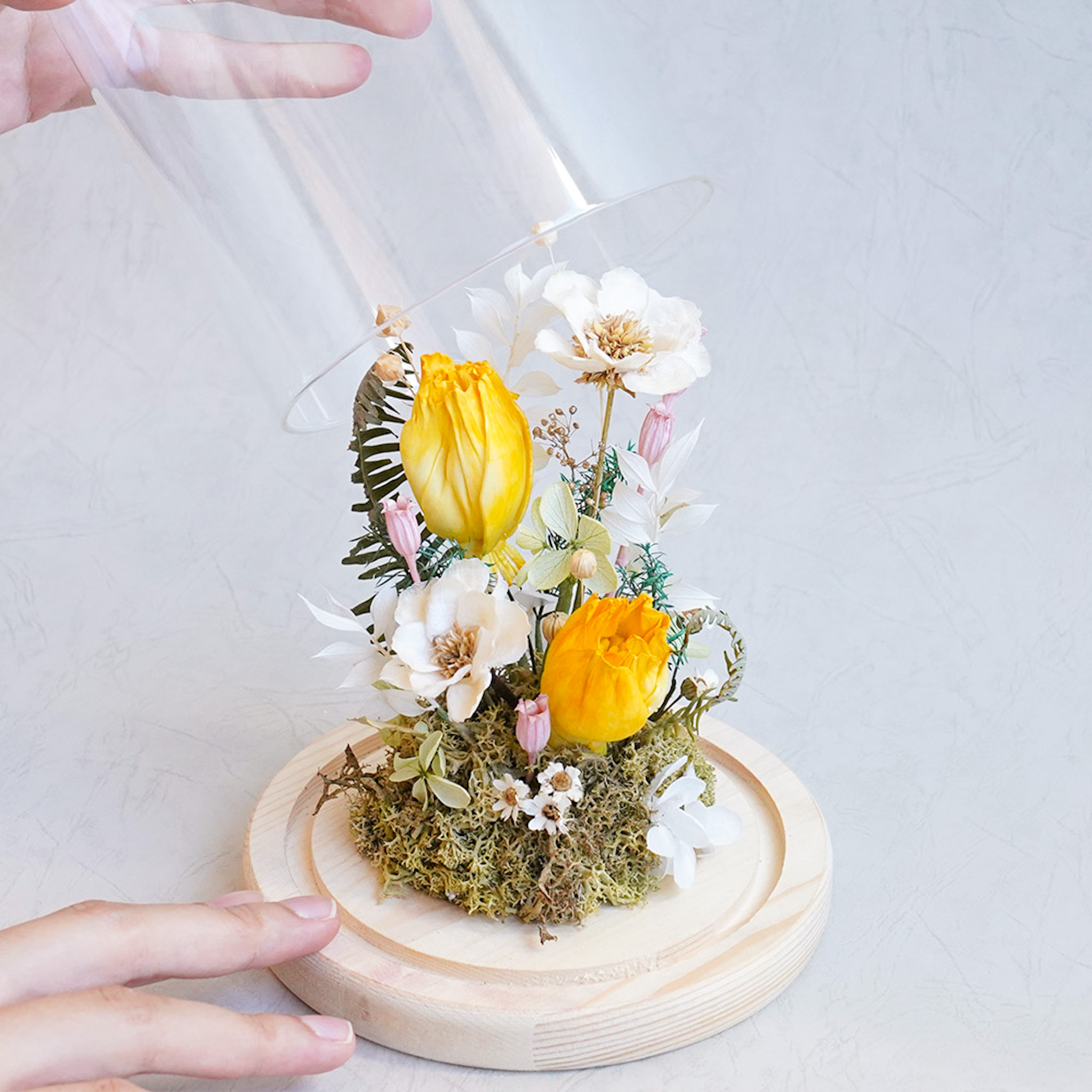 黃色鬱金香玻璃罩,永生花鬱金香玻璃罩,鬱金香花束,台北鬱金香哪裡買特寫鬱金香