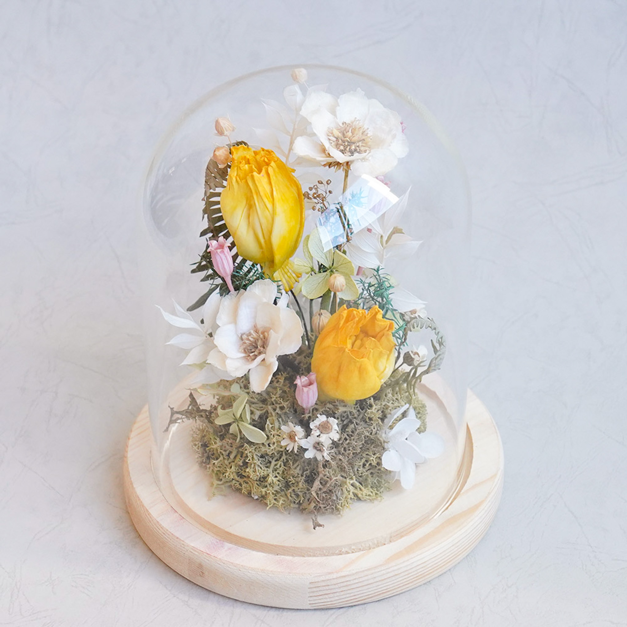 黃色鬱金香玻璃罩,永生花鬱金香玻璃罩,鬱金香花束,台北鬱金香哪裡買