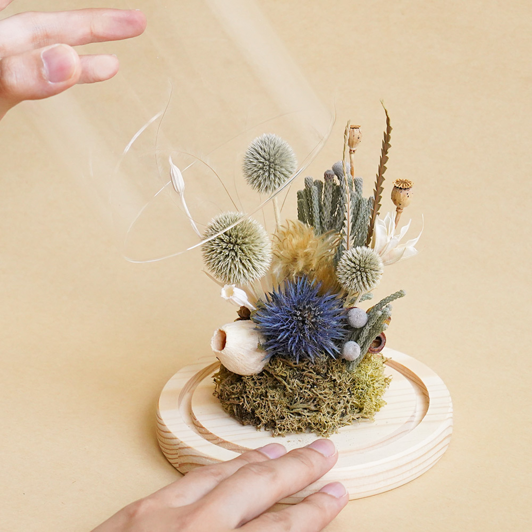 山防風永生花玻璃罩,永生花盆花,山防風玻璃罩推薦,台北喜歡生活乾燥花店,代客送花服務