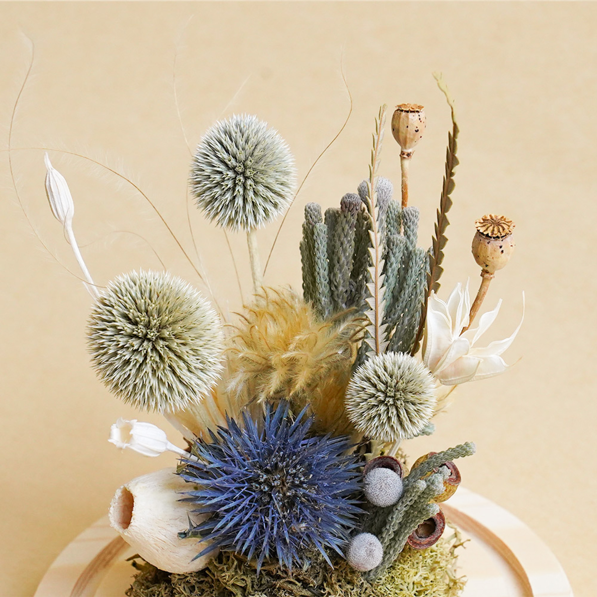 山防風永生花玻璃罩,永生花盆花,山防風玻璃罩推薦,台北喜歡生活乾燥花店,代客送花服務