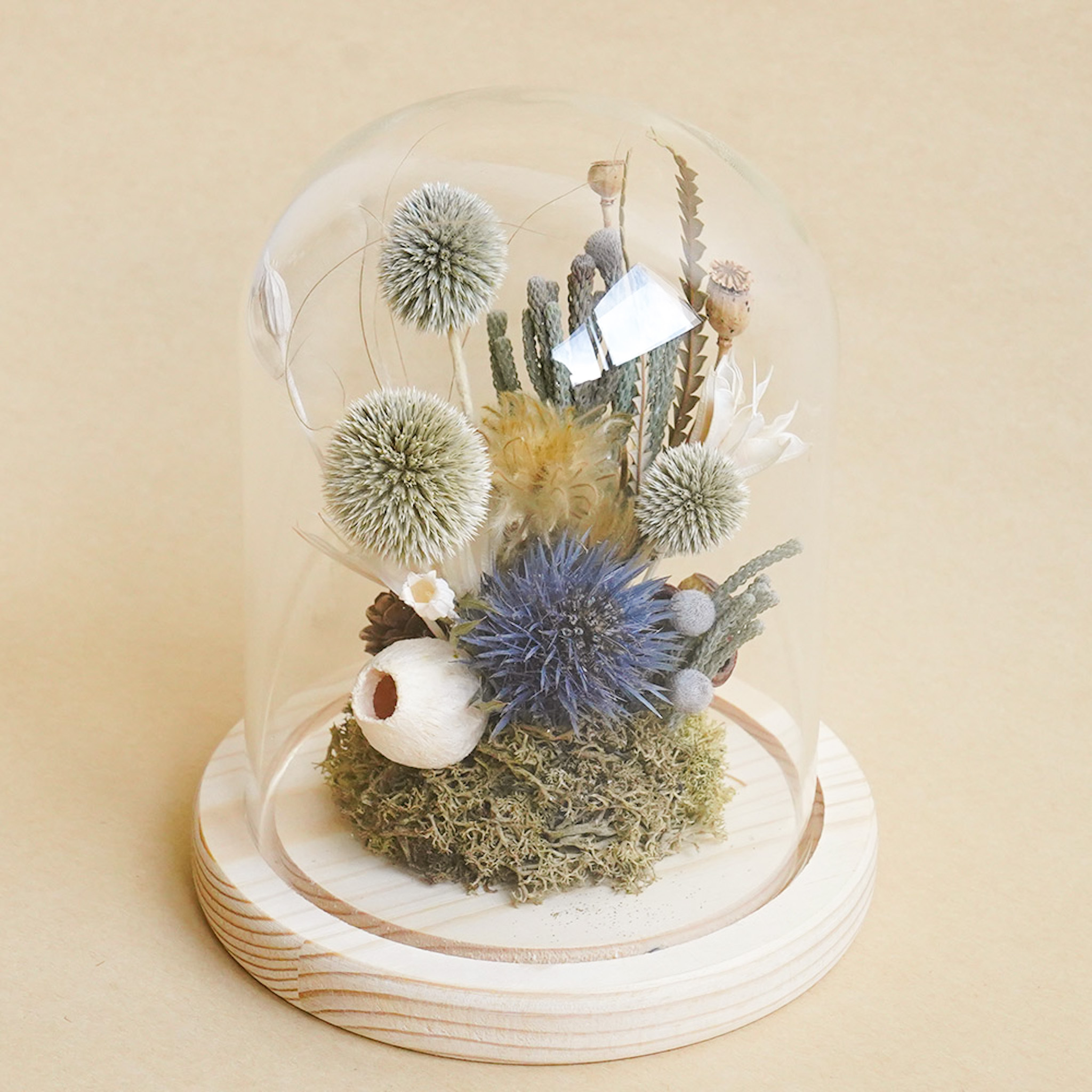 山防風永生花玻璃罩,永生花盆花,山防風玻璃罩推薦,喜歡生活乾燥花店
