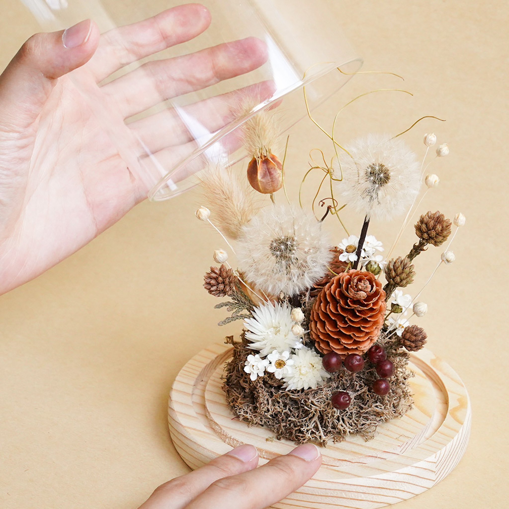 蒲公英永生花玻璃罩,永生花蒲公英,蒲公英玻璃罩推薦,台北喜歡生活乾燥花店,代客送花服務,自然系花材