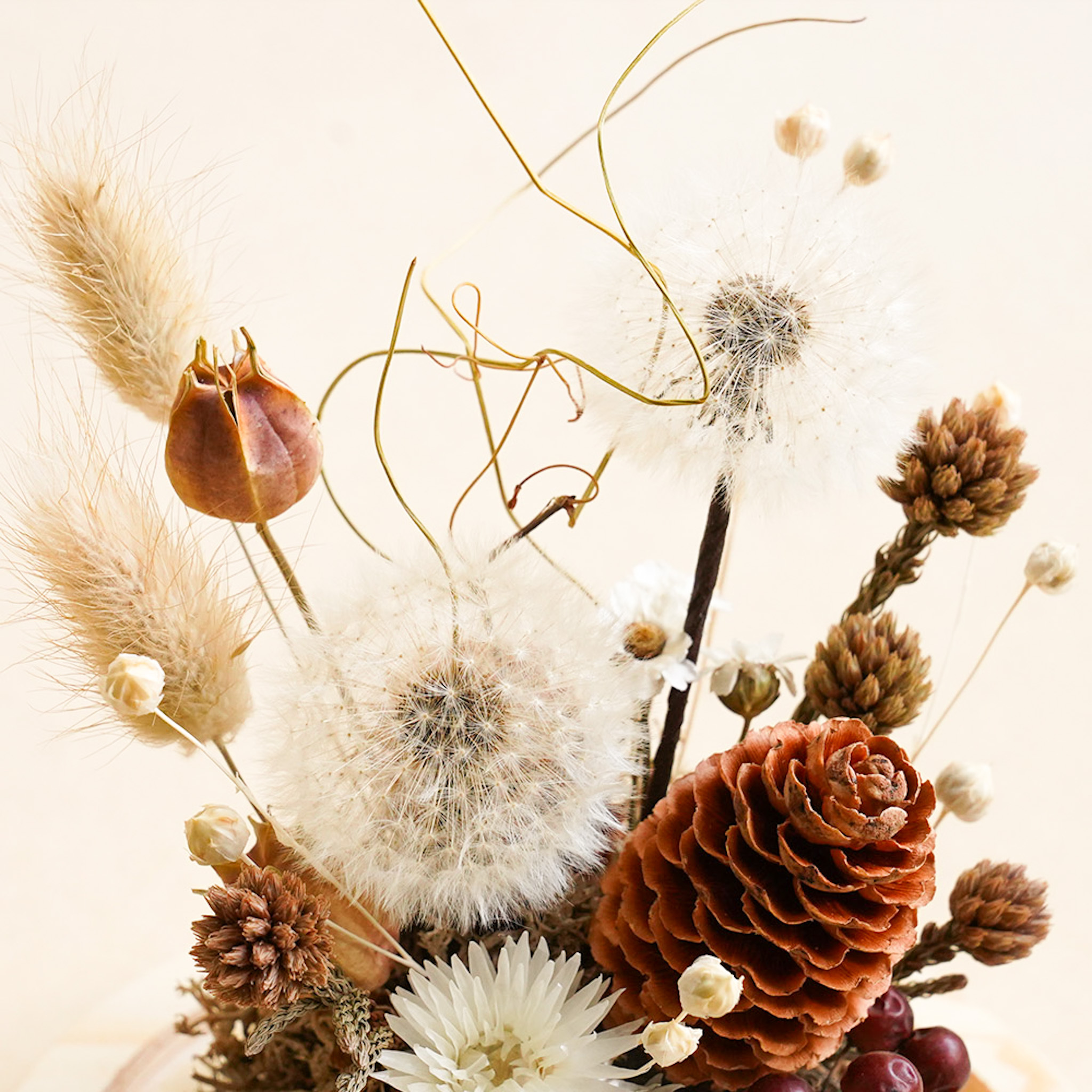 蒲公英永生花玻璃罩,永生花蒲公英,蒲公英玻璃罩推薦,台北喜歡生活乾燥花店,代客送花服務,自然系花材推薦