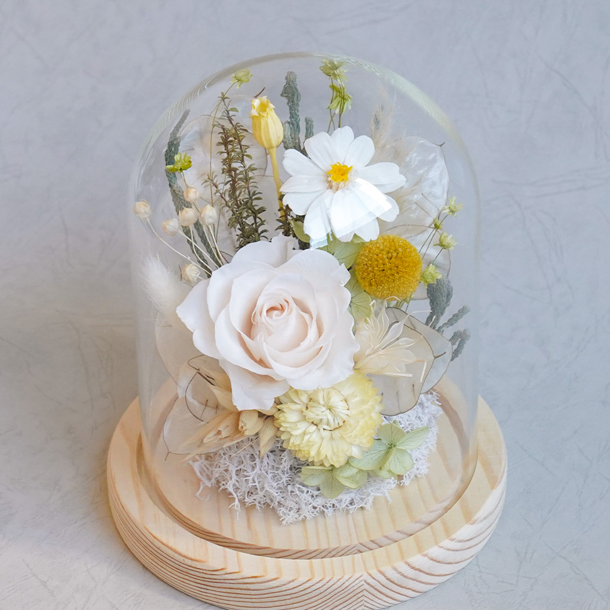 白玫瑰永生花玻璃罩,太陽花永生花奶茶色玫瑰花,白玫瑰花玻璃罩推薦,台北喜歡生活乾燥花店,代客送花服務