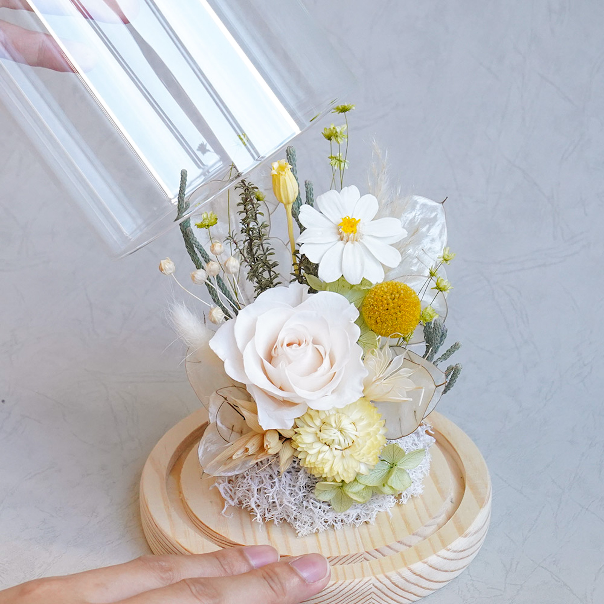 白玫瑰永生花玻璃罩,太陽花永生花奶茶色玫瑰花,白玫瑰花玻璃罩推薦,台北喜歡生活乾燥花店,台北代客送花服務