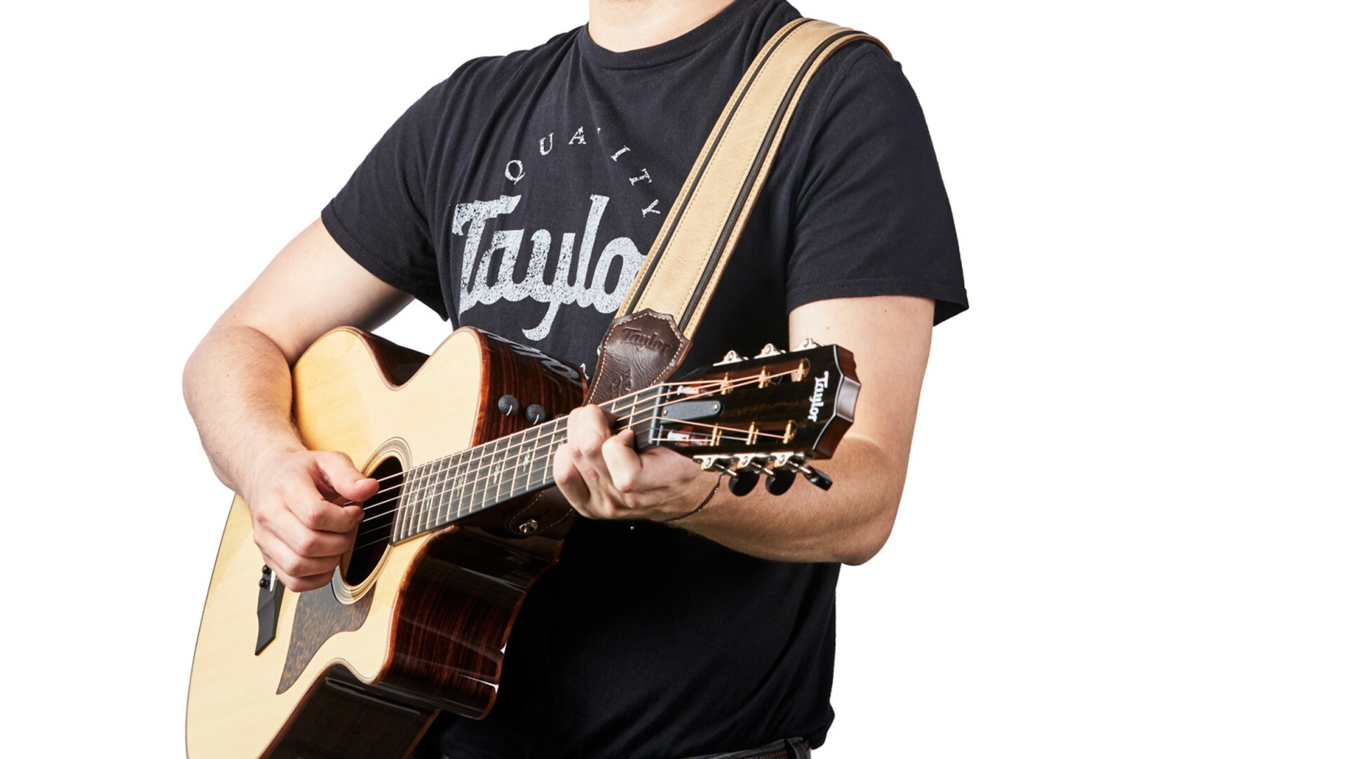 Taylor 背帶 皮革吉他背帶 Light Spruce/Ebony TLOP-4111-25