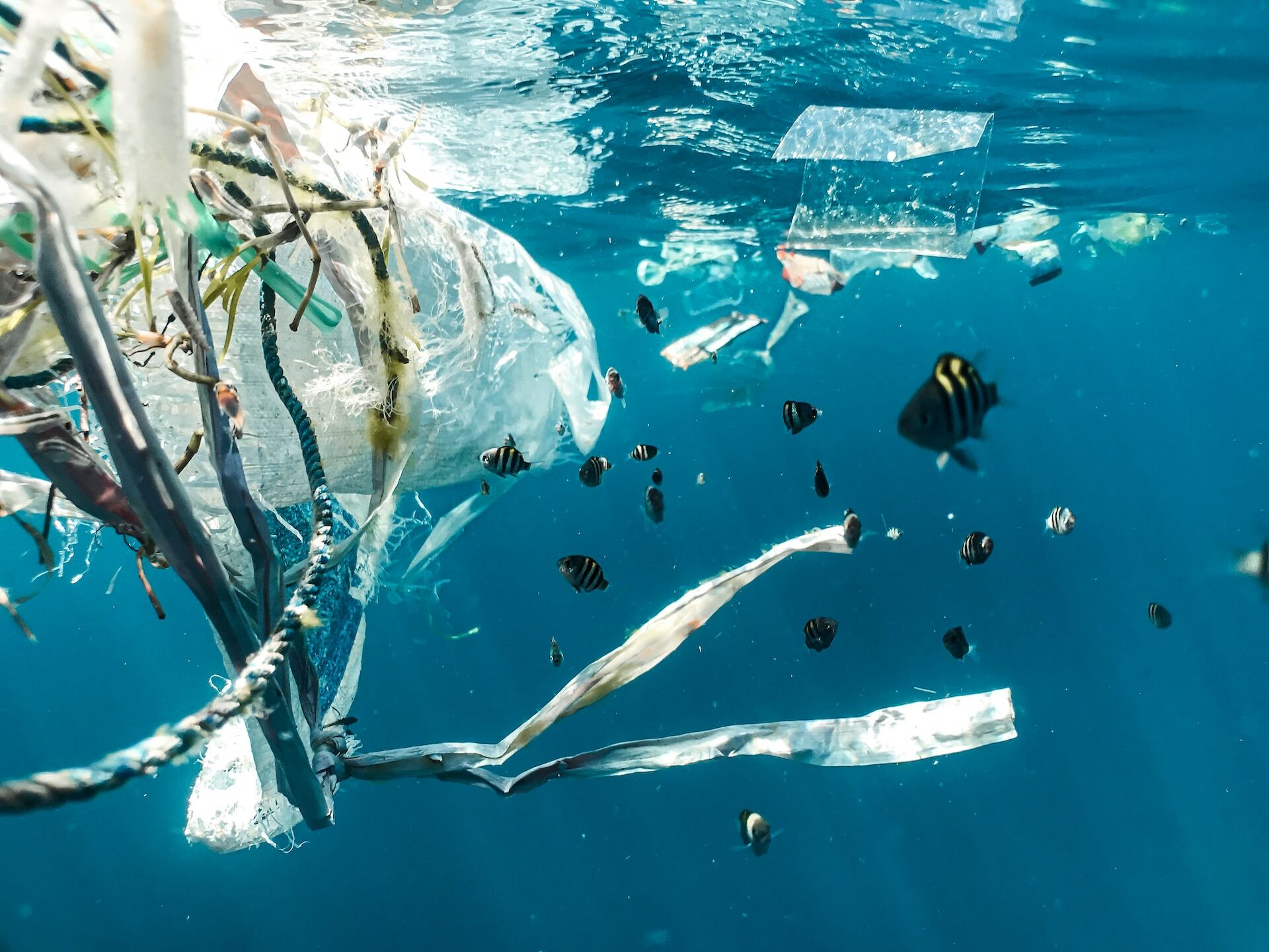 海廢再生製品：讓海洋垃圾重獲新生、減少環境負擔，永續設計一舉多得