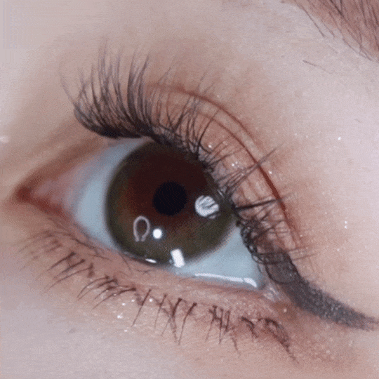 [日拋] moody Lenses Teenage Daydream 1 Day Olive Green 日抛隱形眼鏡｜每盒10片