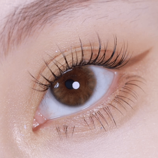 [日拋] moody Lenses Teenage Daydream 1 Day Brown & Green 日抛隱形眼鏡｜每盒10片