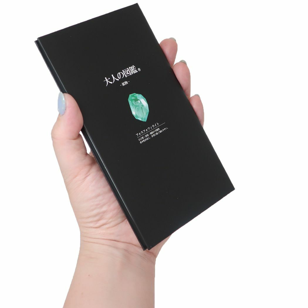 礦石 點陣硬殼筆記本 測量野帳 大人的圖鑑｜日本KAMIO JAPAN