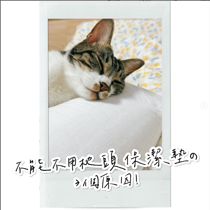 養貓人不能不用寢之堡枕頭保潔墊的3個原因