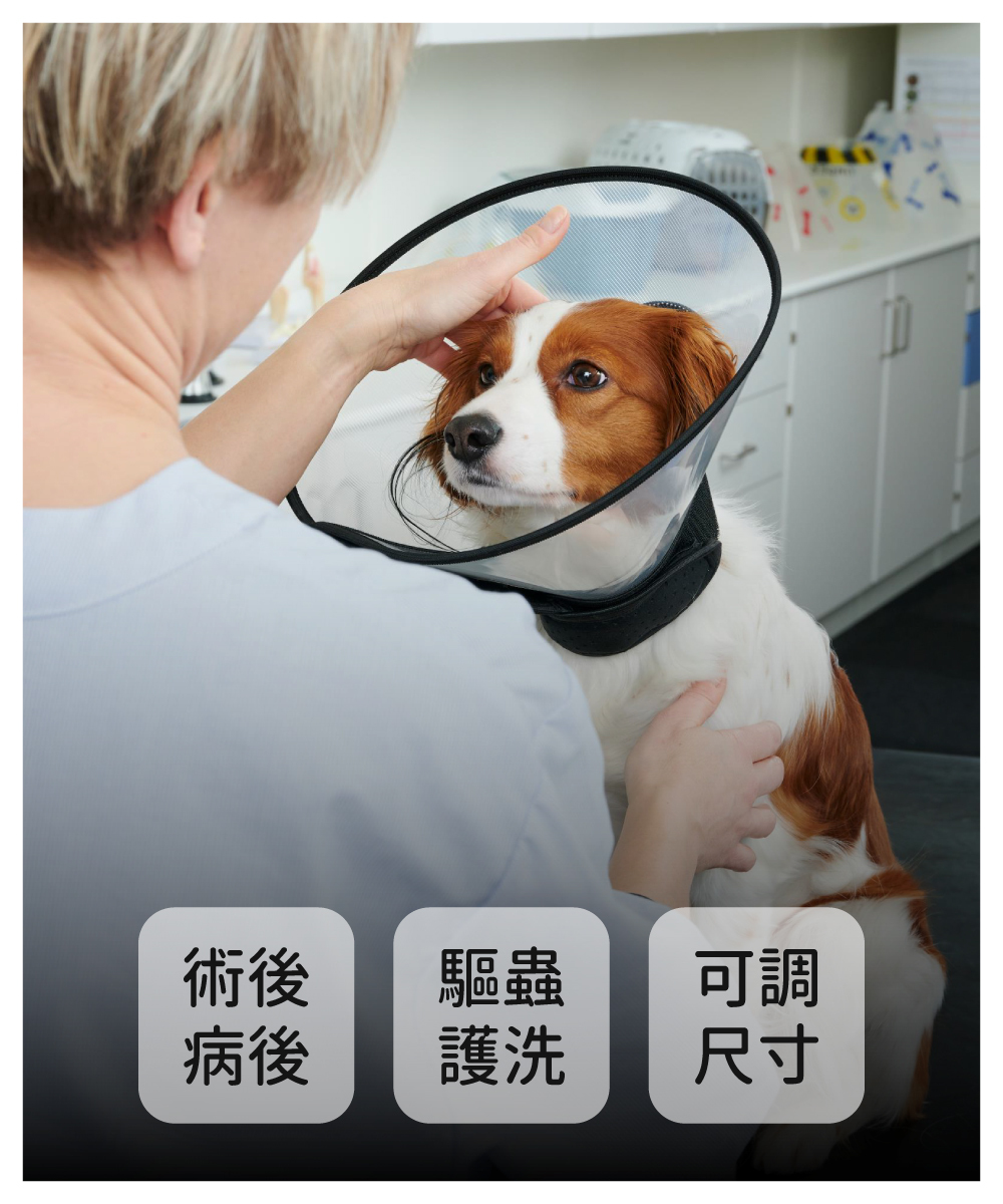 BUSTER 黏貼加強型防舔抓頭套專為術後病後,驅蟲護洗下寵物可配戴,可調整尺寸