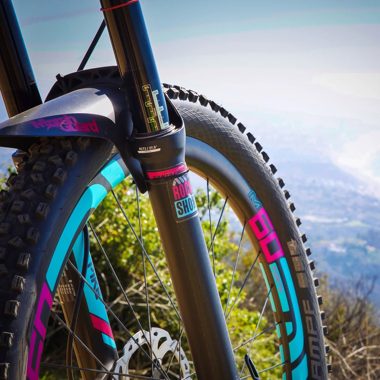 AMS Honeycomb Fork Guard