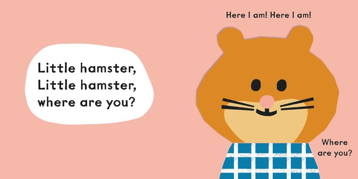 Baby Faces：Little Dog, Where Are You?