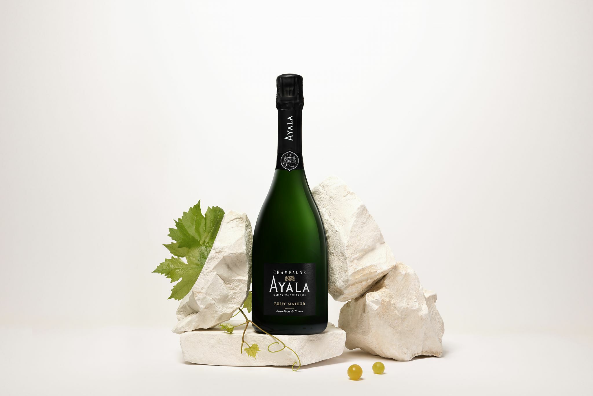 Ayala Brut Majeur (JS92)