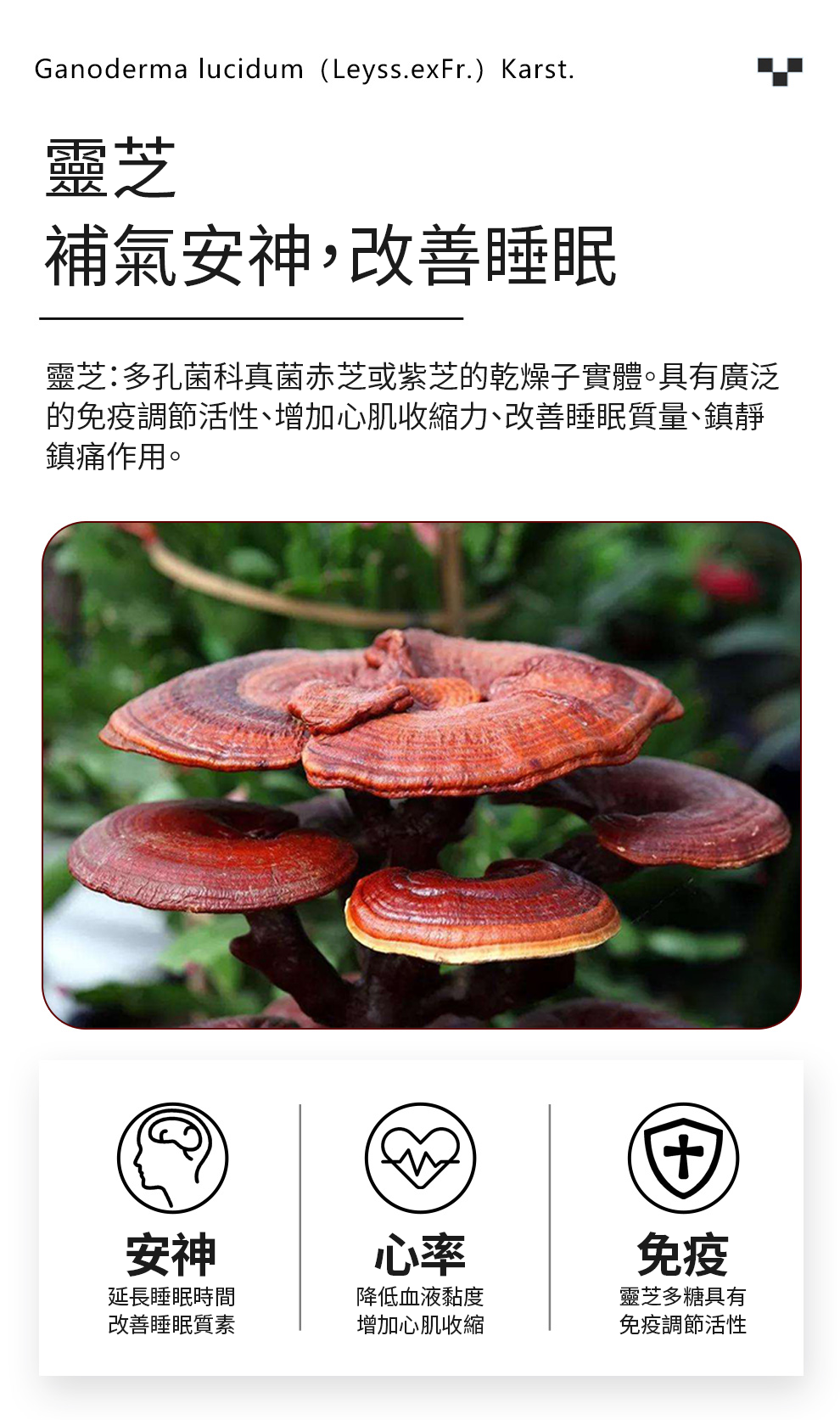 厚朴, 木蘭科植物, 化濕藥, 鬆馳肌肉, 鎮靜神經, 抗真菌, 靈芝, 多孔菌科真菌, 免疫調節活性, 心肌收縮力, 改善睡眠質量, 鎮靜鎮痛, 延長睡眠時間,改善睡眠,Naturalland,ihearb,nowfood,kirkland,維特健