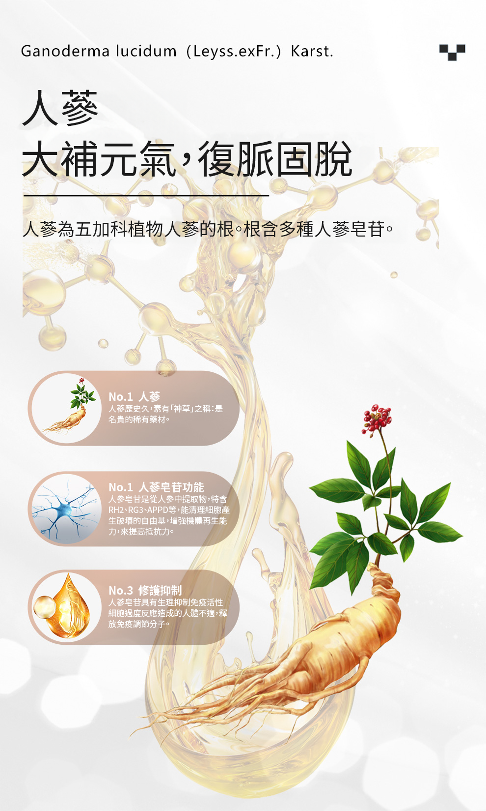 厚朴, 木蘭科植物, 化濕藥, 鬆馳肌肉, 鎮靜神經, 抗真菌, 靈芝, 多孔菌科真菌, 免疫調節活性, 心肌收縮力, 改善睡眠質量, 鎮靜鎮痛, 延長睡眠時間,改善睡眠,Naturalland,ihearb,nowfood,kirkland,維特健