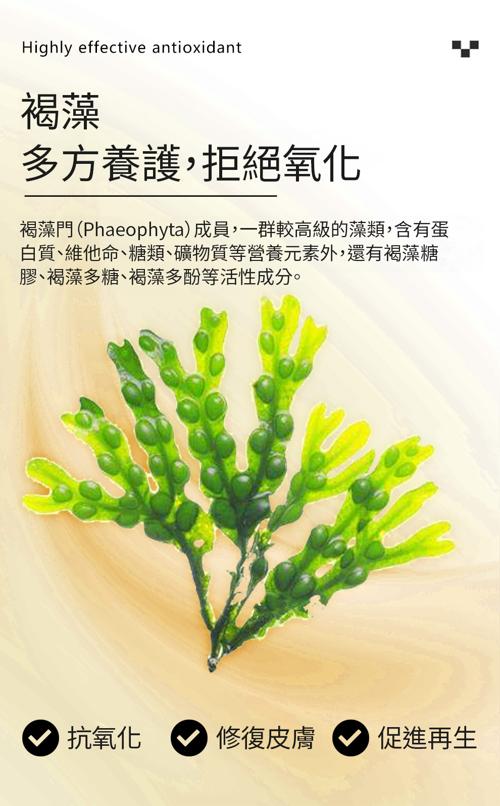 厚朴, 木蘭科植物, 化濕藥, 鬆馳肌肉, 鎮靜神經, 抗真菌, 靈芝, 多孔菌科真菌, 免疫調節活性, 心肌收縮力, 改善睡眠質量, 鎮靜鎮痛, 延長睡眠時間,改善睡眠,Naturalland,ihearb,nowfood,kirkland,維特健