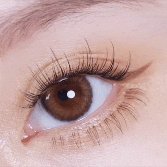 [日拋] moody Lenses He Doesn't Know 1 Day Pumpkin Silky (Pumpkin Brown) 日抛隱形眼鏡｜每盒10片