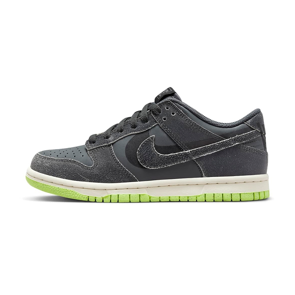 24.5cm NIKE DUNK LOW SE 2 (GS)-