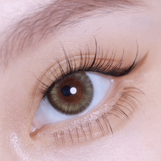 [日拋] moody Lenses He Doesn't Know 1 Day Smooth Pine (Pine Green) 日抛隱形眼鏡｜每盒10片