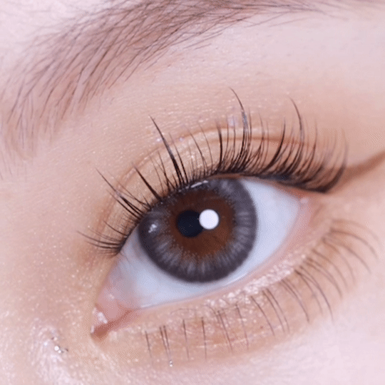 [日拋] moody Lenses He Doesn't Know 1 Day Velveteen Black 日抛隱形眼鏡｜每盒10片