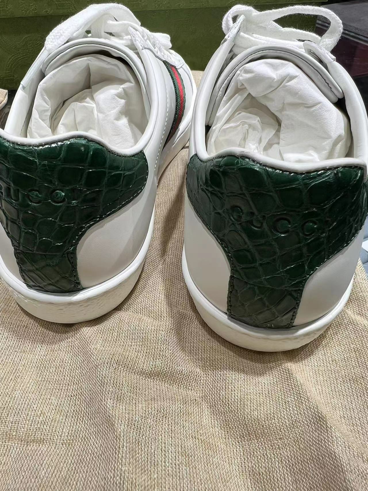 GUCCI 鱷魚紋經典款 -M