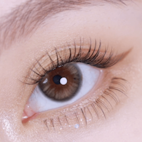 [日拋] moody Lenses Hush Hush 1 Day Cocoon (Metallic Brown) 破繭 日抛隱形眼鏡｜每盒10片